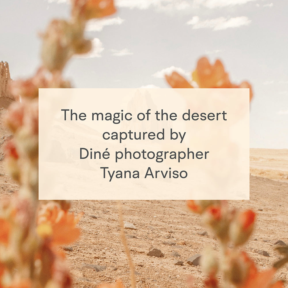 Desert Dream Notes