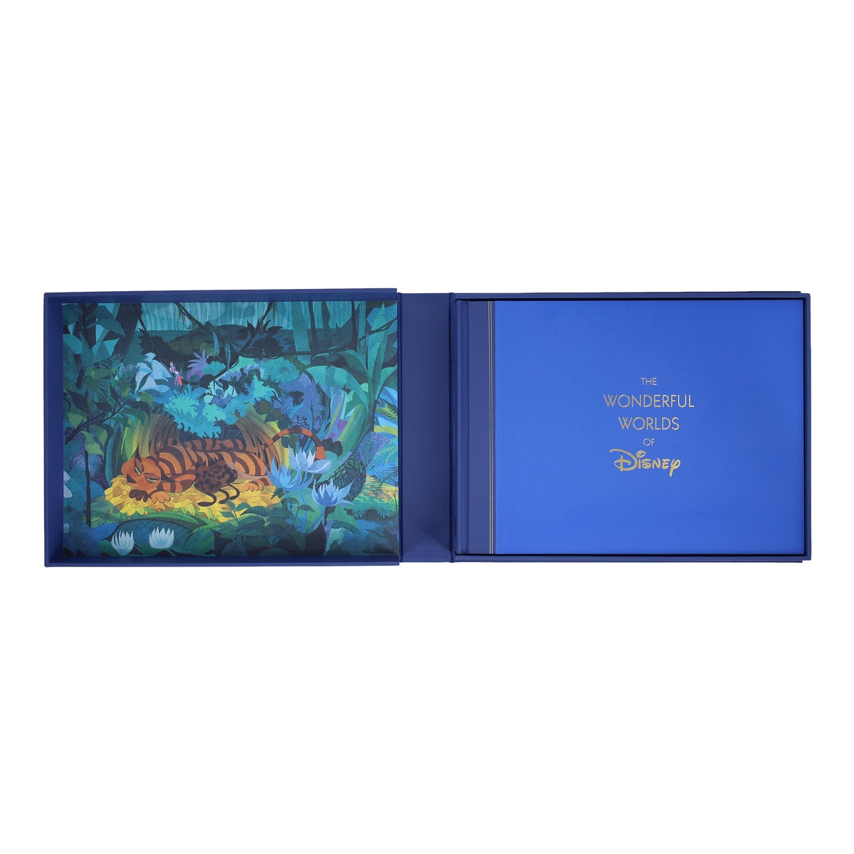 Disney The Wonderful Worlds of Disney – Chronicle Books