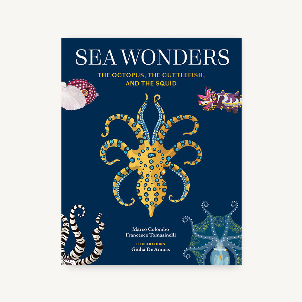 Sea Wonders – Chronicle Books