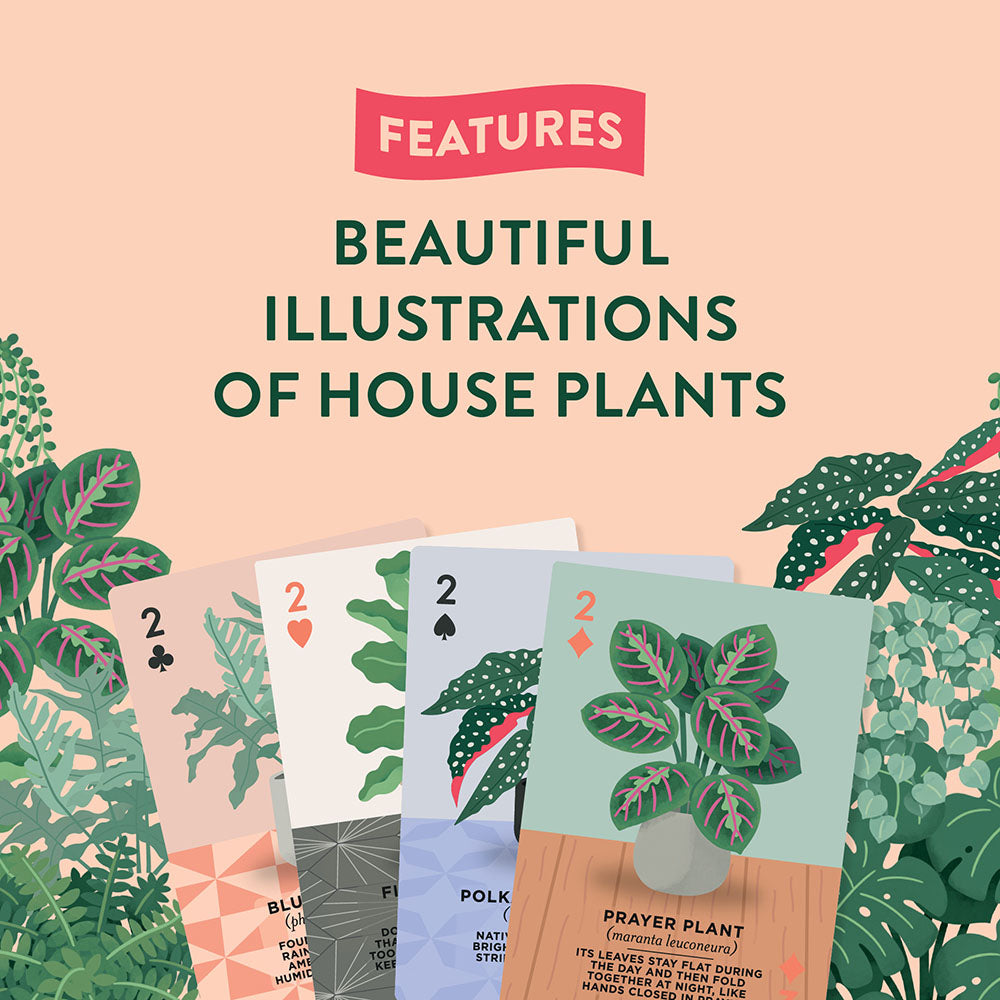 Features beautiful illustrations of house plants