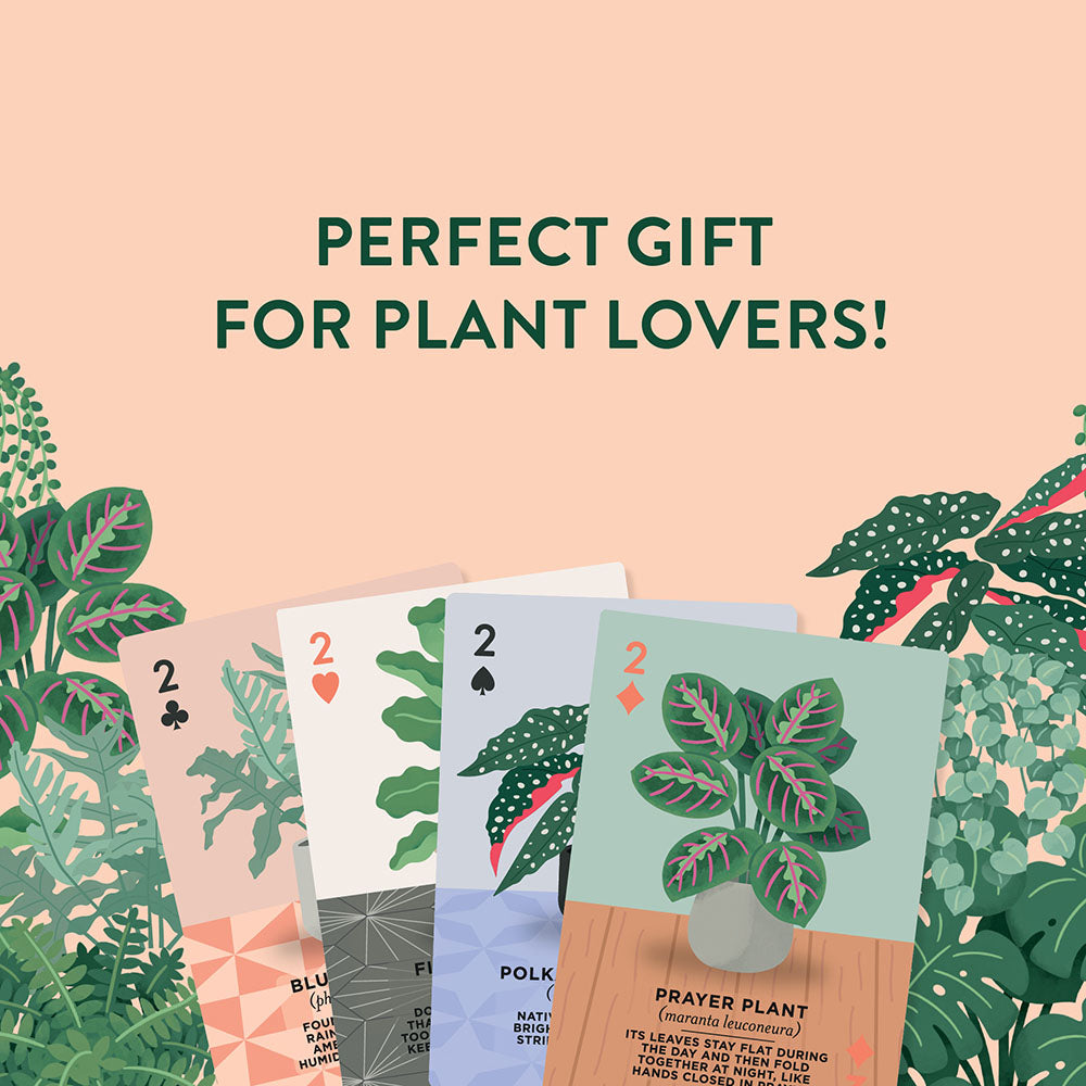 Perfect gift for plant lovers!