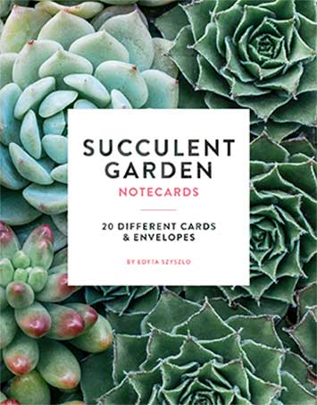 Succulent Garden Notecards - Chronicle Books