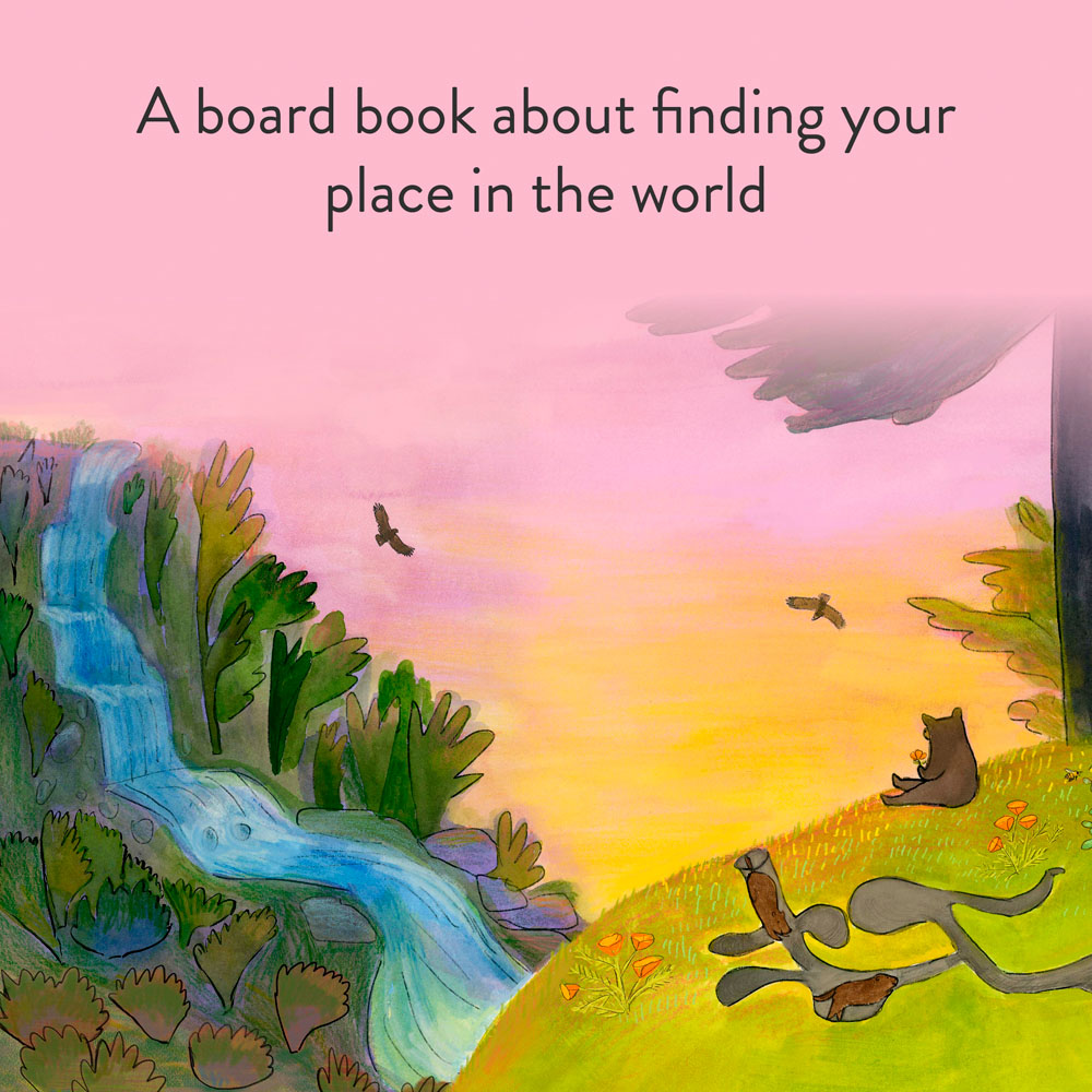 A board book about finding your place in the world