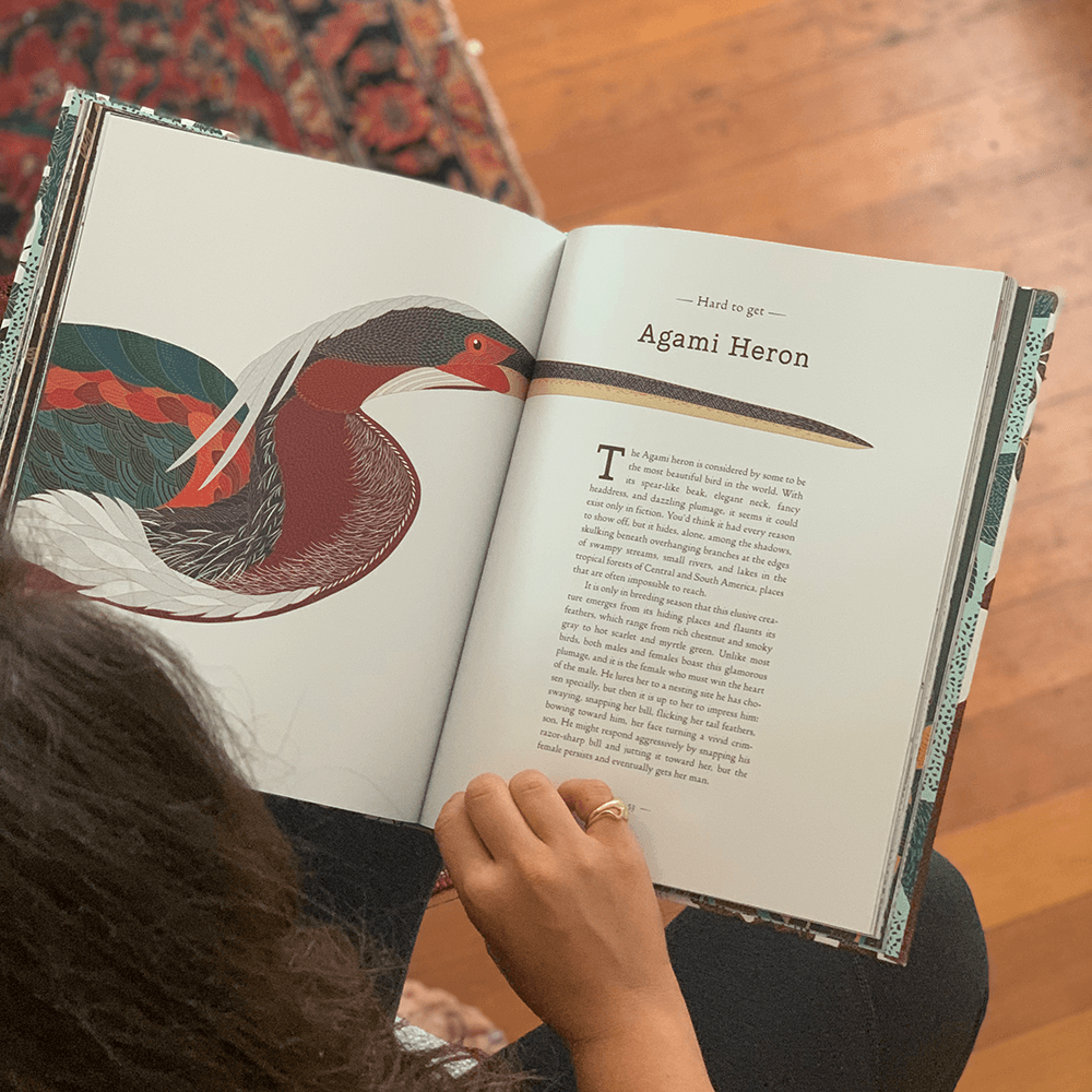 A Wild Child's Guide to Endangered Animals: Agami Heron