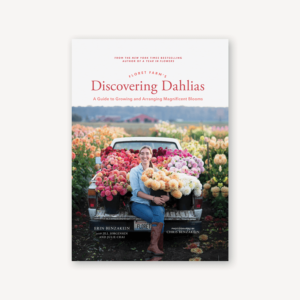 dahlias seed to bloom book Floret Farm's Discovering Dahlias : A Guide to Growing and Arranging Magnificent Blooms