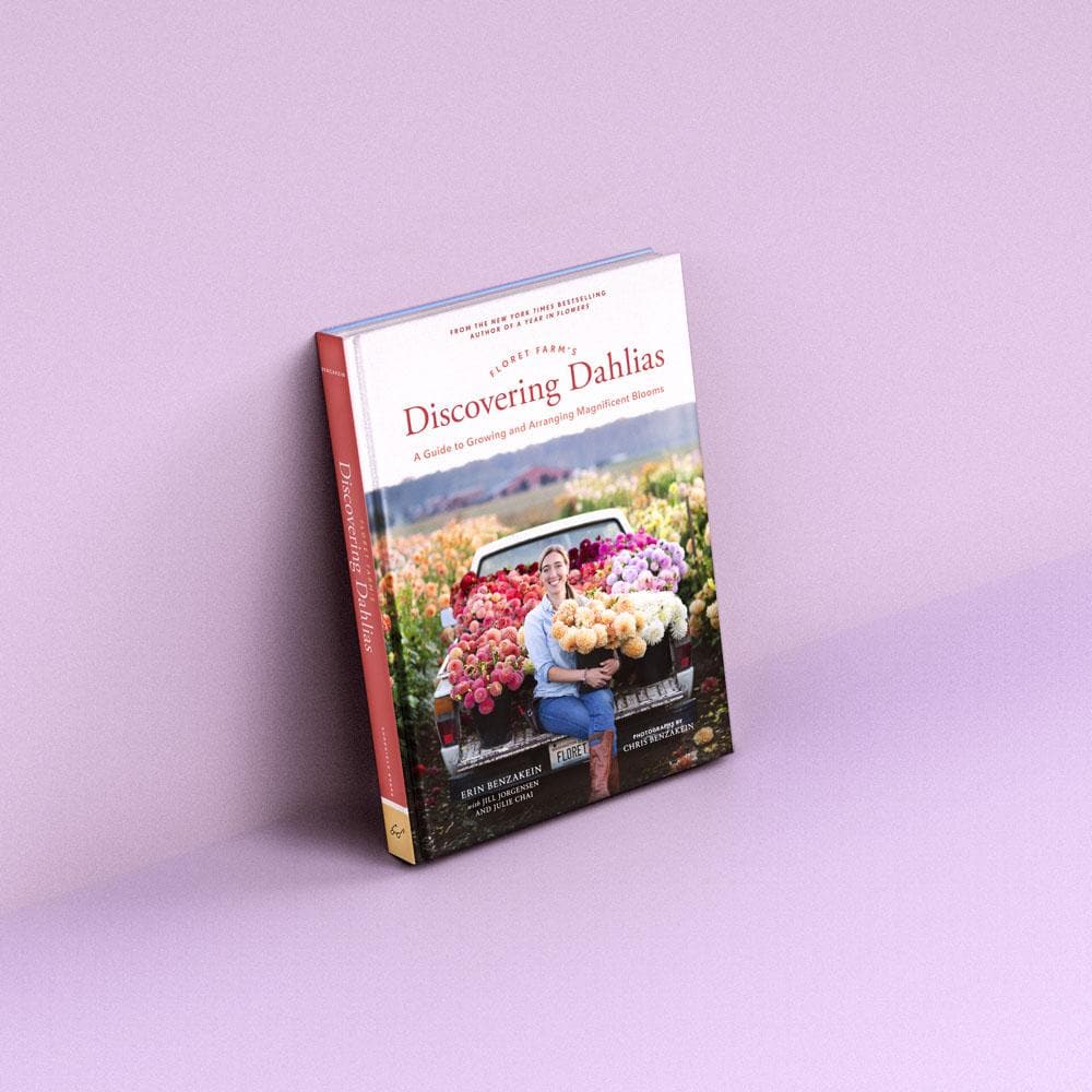 dahlia seeds for sale floret Floret Farm's Discovering Dahlias : A Guide to Growing and Arranging Magnificent Blooms