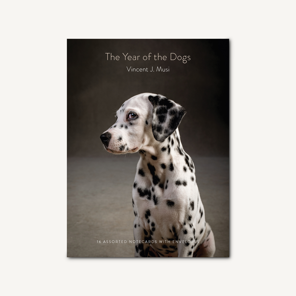 The Year of the Dogs Notecards