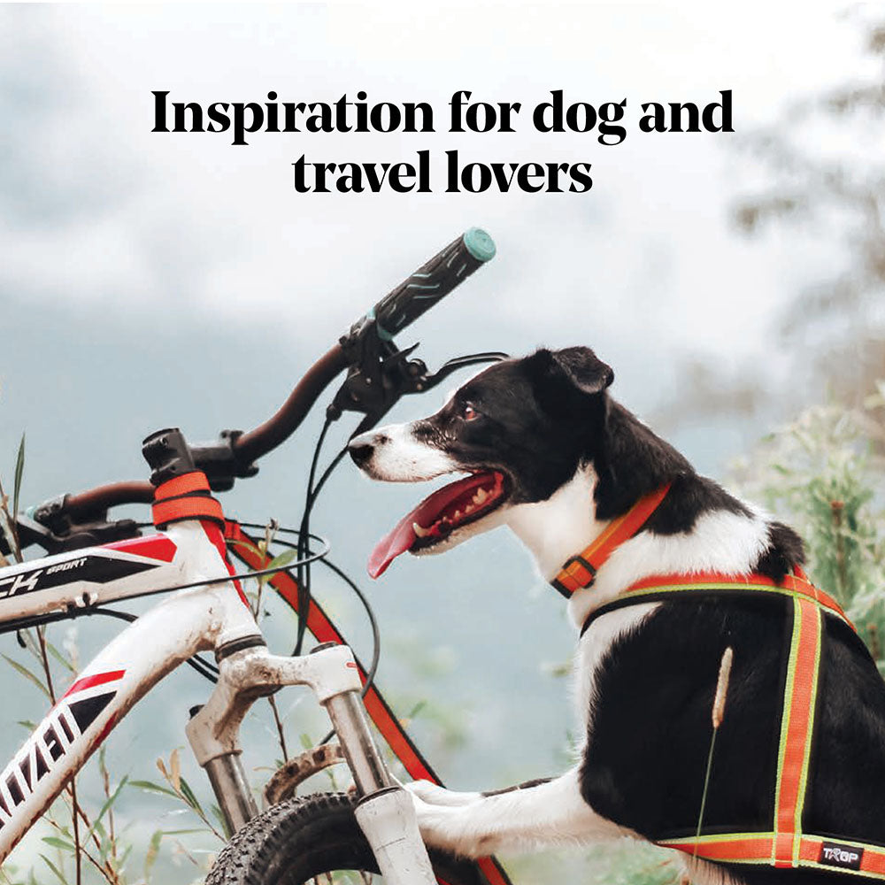 Inspiration for dog and travel lovers