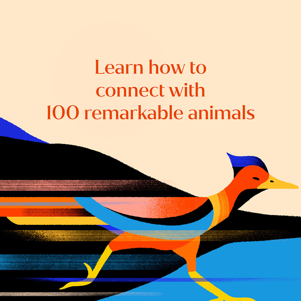 Learn how to connect to 100 remarkable animals