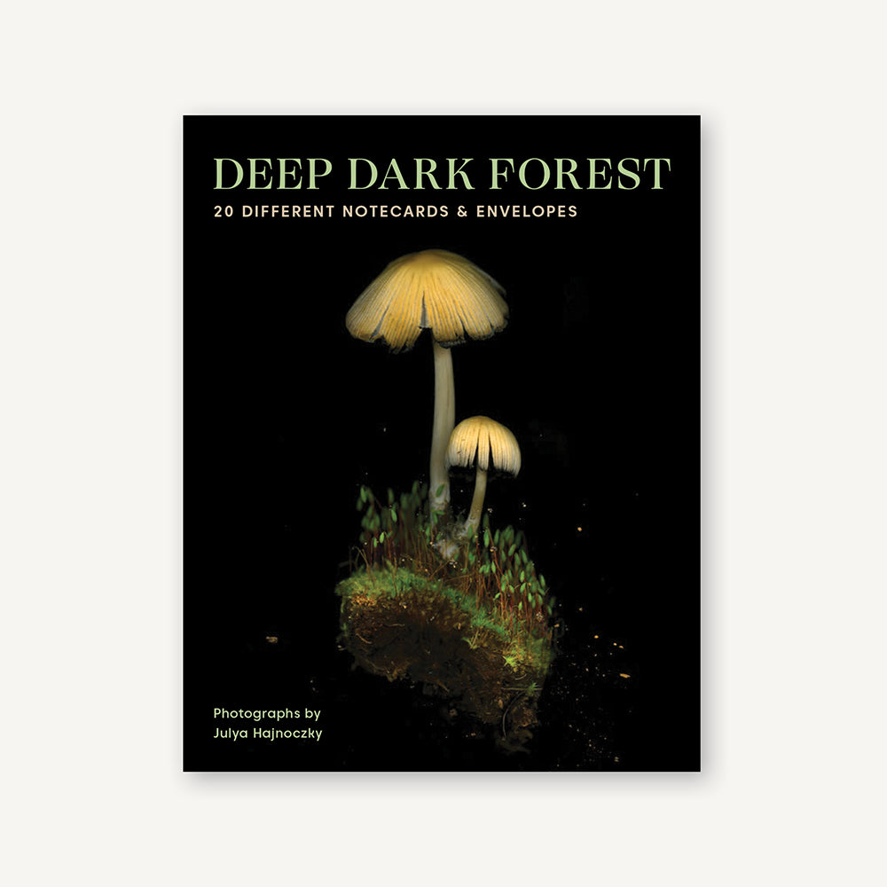 Deep Dark Forest Notes – Chronicle Books