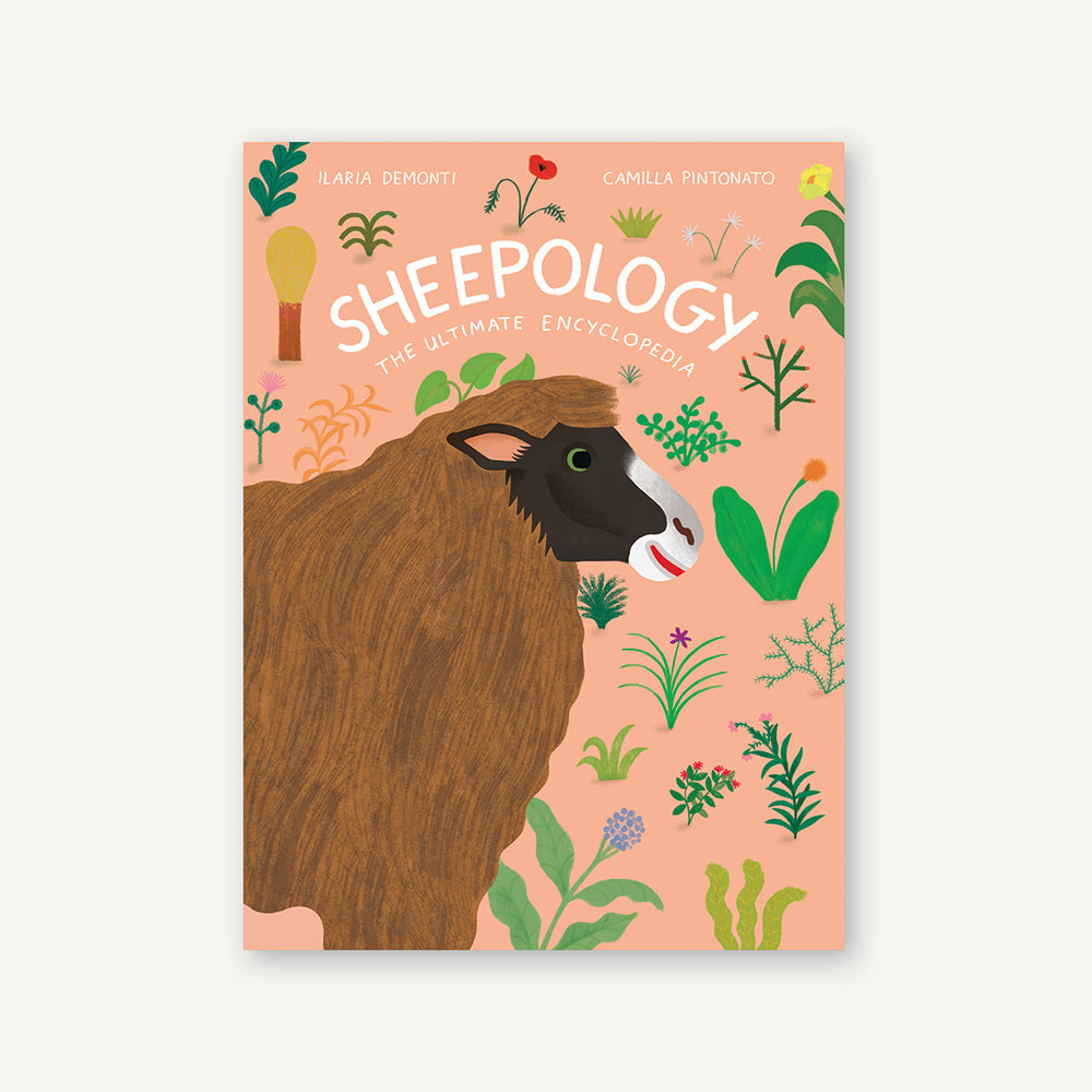 【Alec Soth：Sheep】800部限定　★新品・未読品・美本 Sheepology – Chronicle Books
