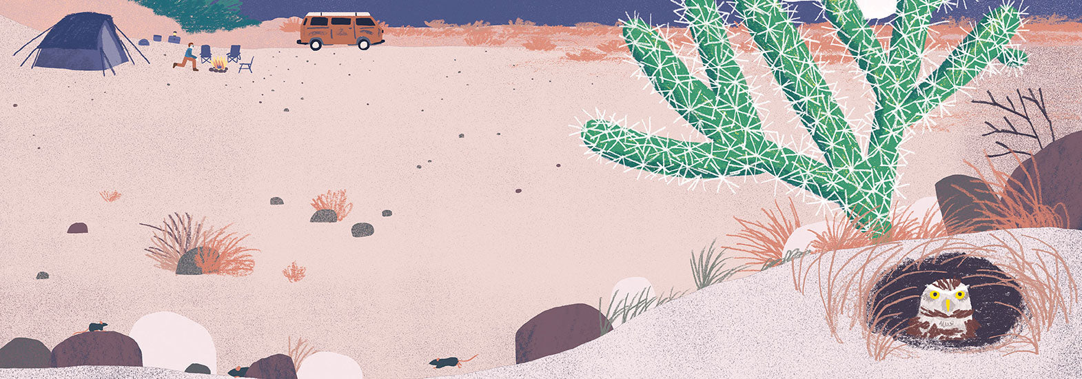 Over and Under Series | Chronicle Books