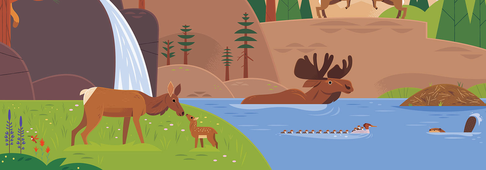 Elk feeding her young and bull moose swimming; illustration from Wilds of the United States