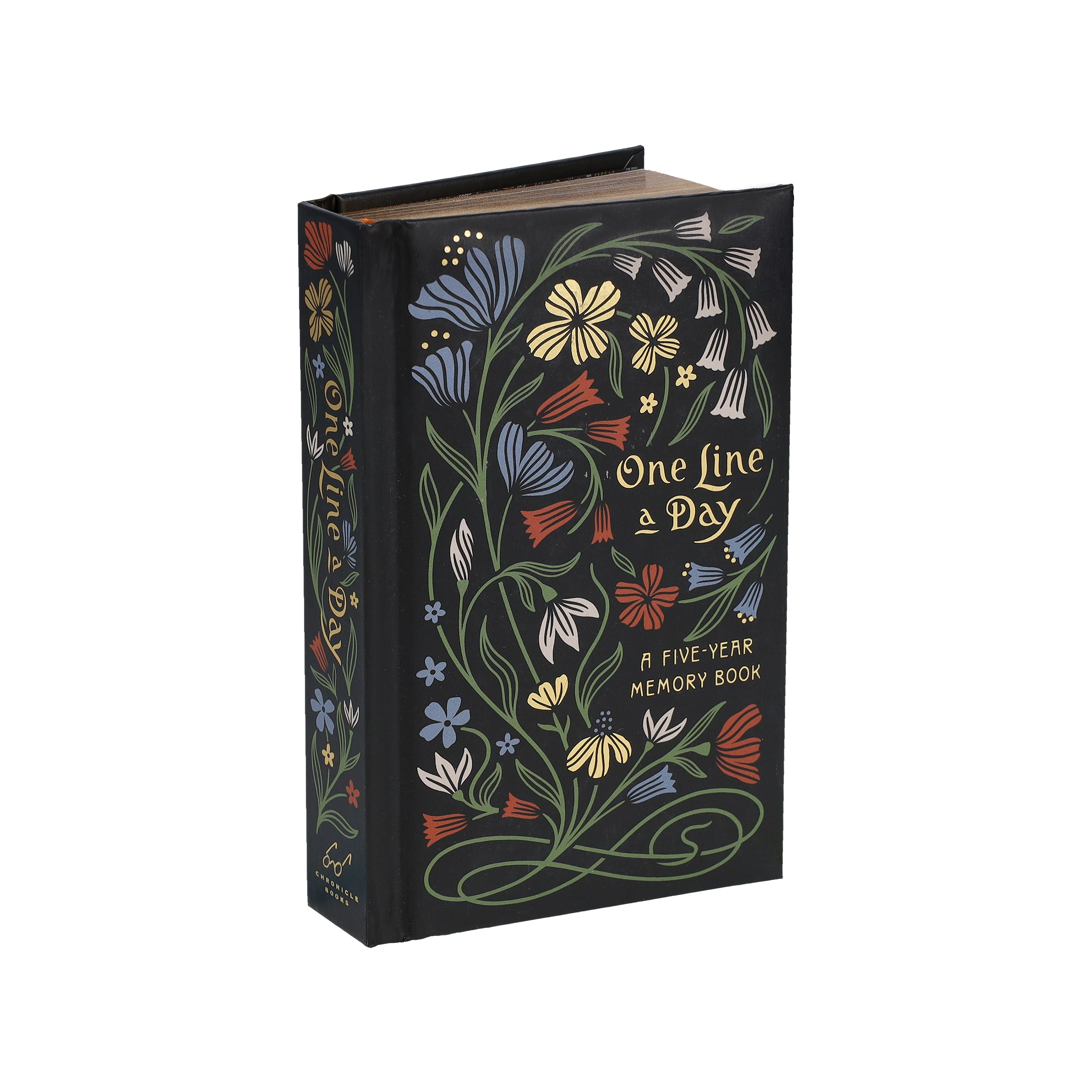 Nouveau One Line a Day – Chronicle Books