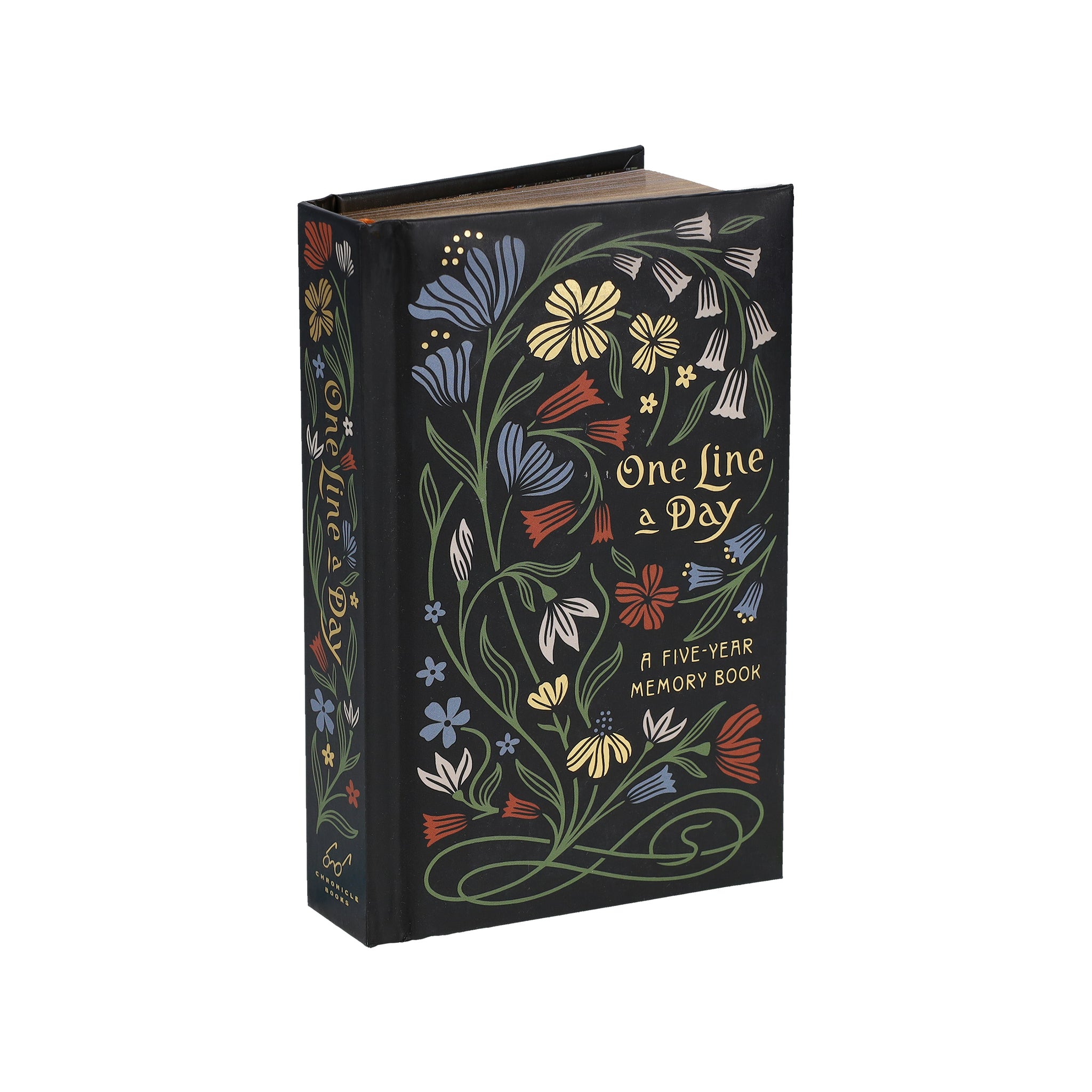 Nouveau One Line a Day – Chronicle Books