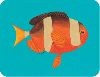 Everyone Poops Flash Cards