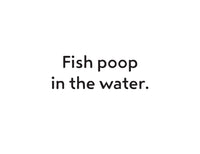 Everyone Poops Flash Cards