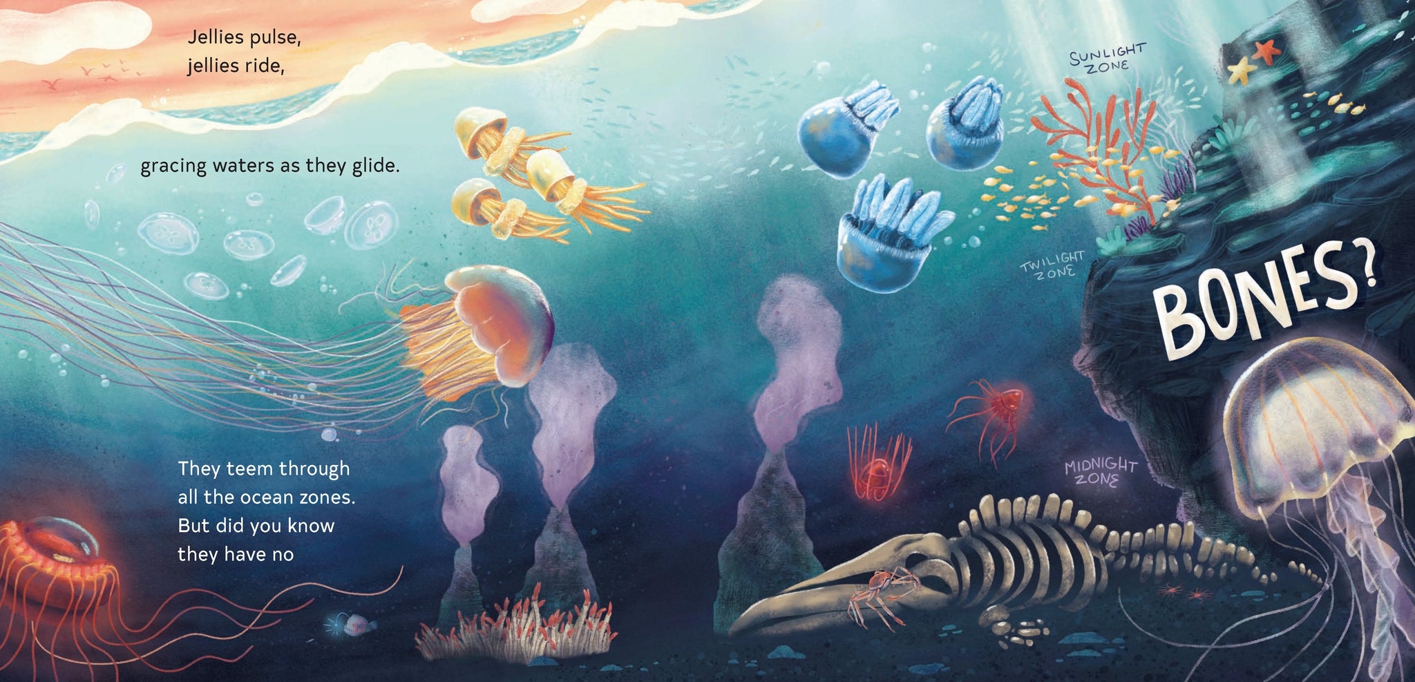 The Secrets of the Jellies – Chronicle Books