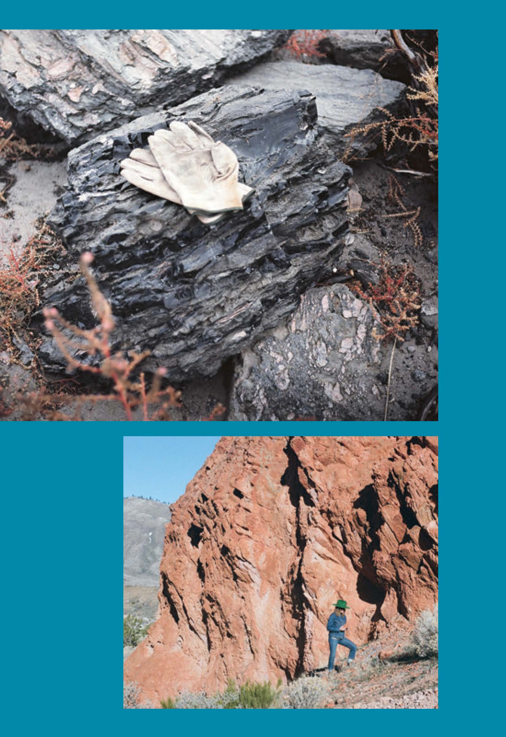 Biotifull Rocks Beautiful Rocks and How to Find Them – Chronicle Books