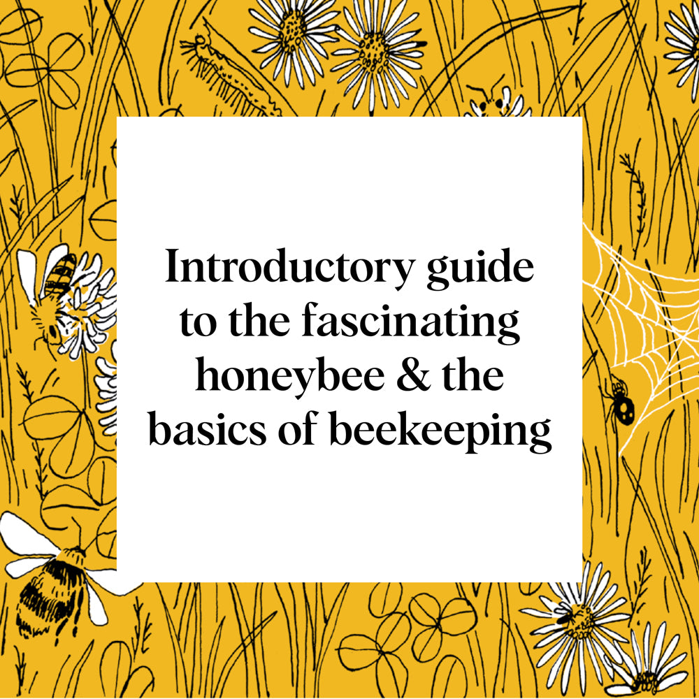 Pocket Nature: Beekeeping
