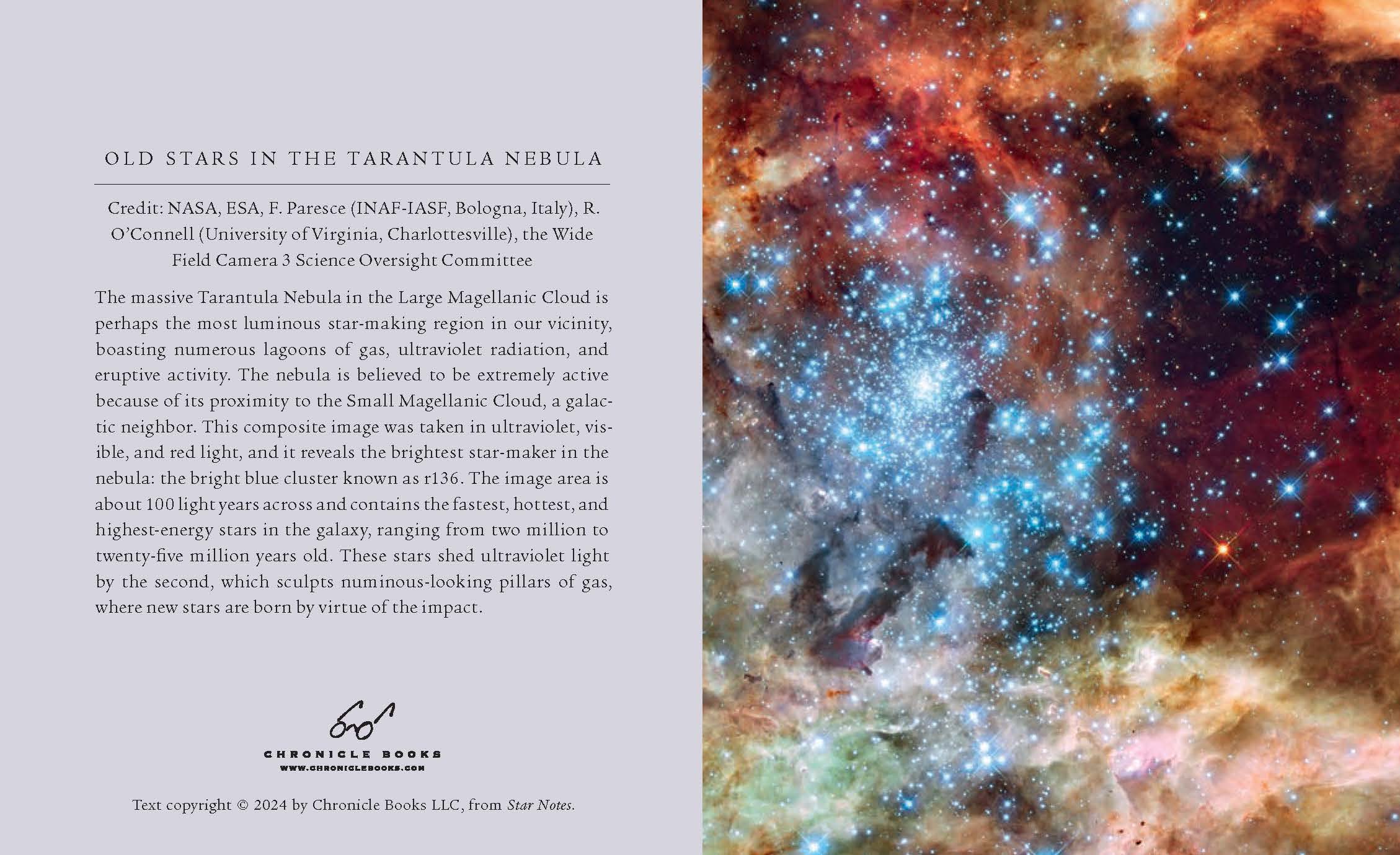 Star Notes Example Star Notes – Chronicle Books