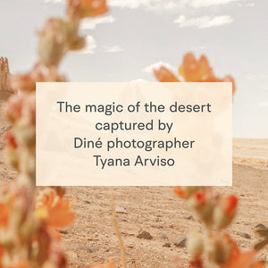 Desert Dream Notes