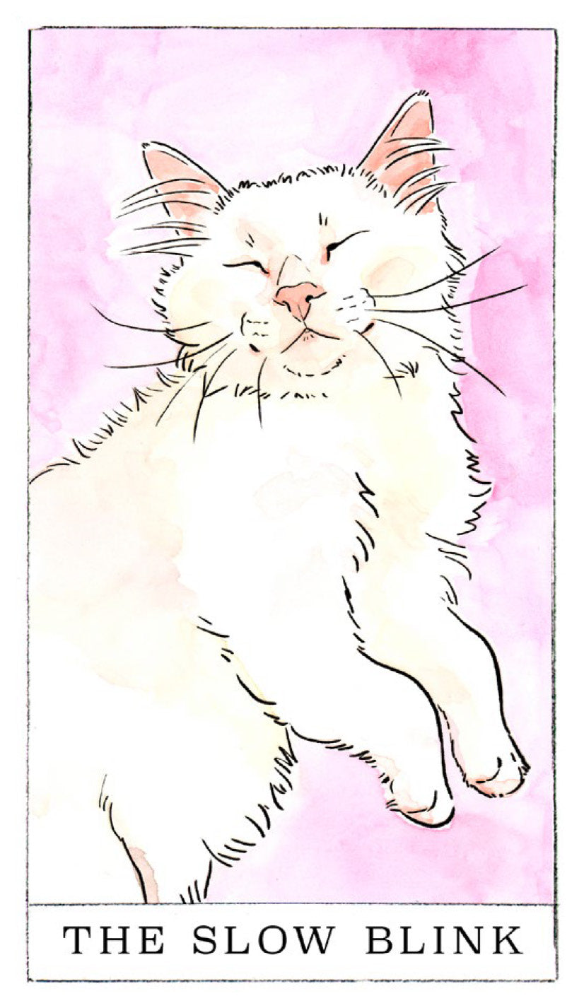 Kitten Oracle Kitten Oracle – Chronicle Books
