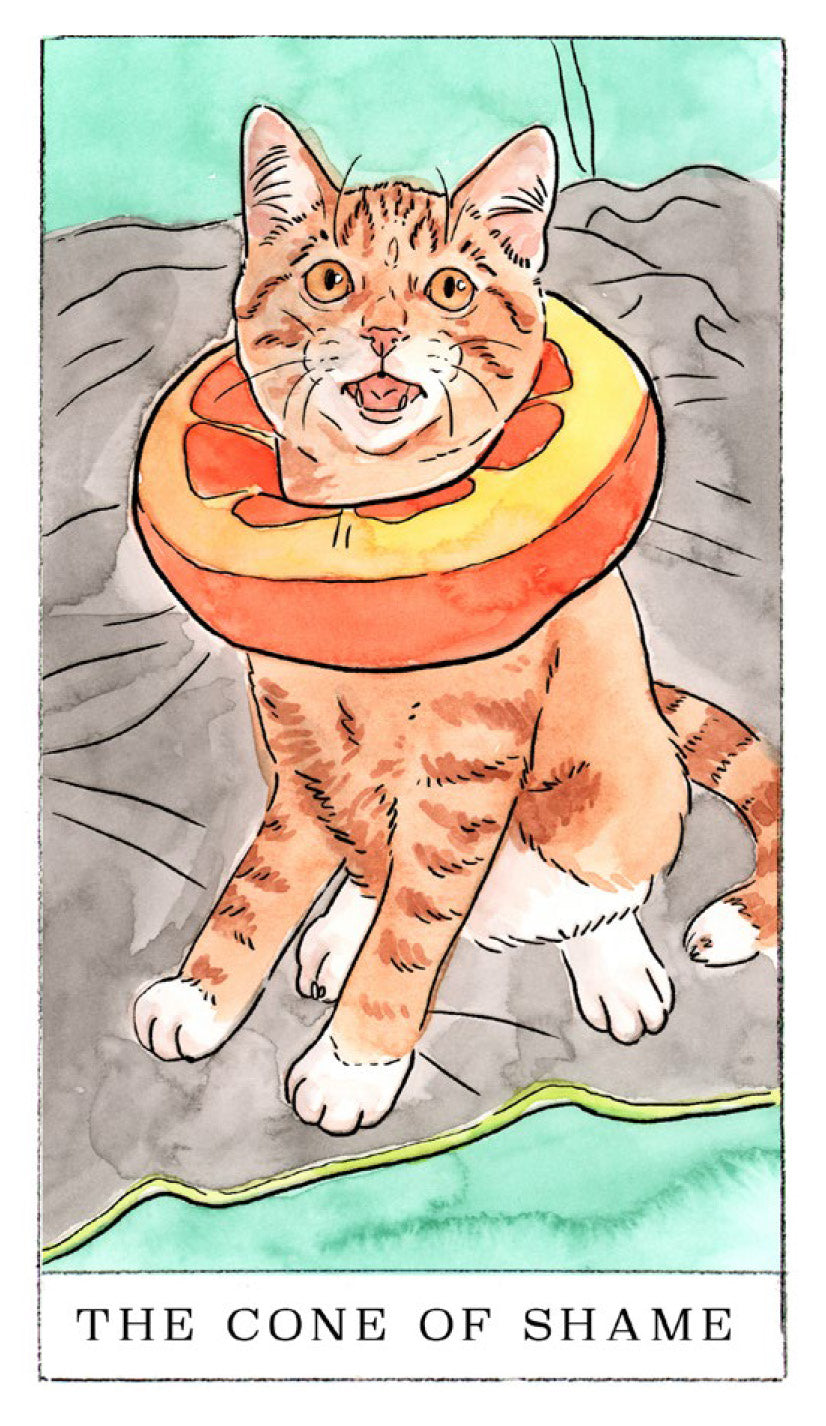 Kitten Oracle Kitten Oracle – Chronicle Books