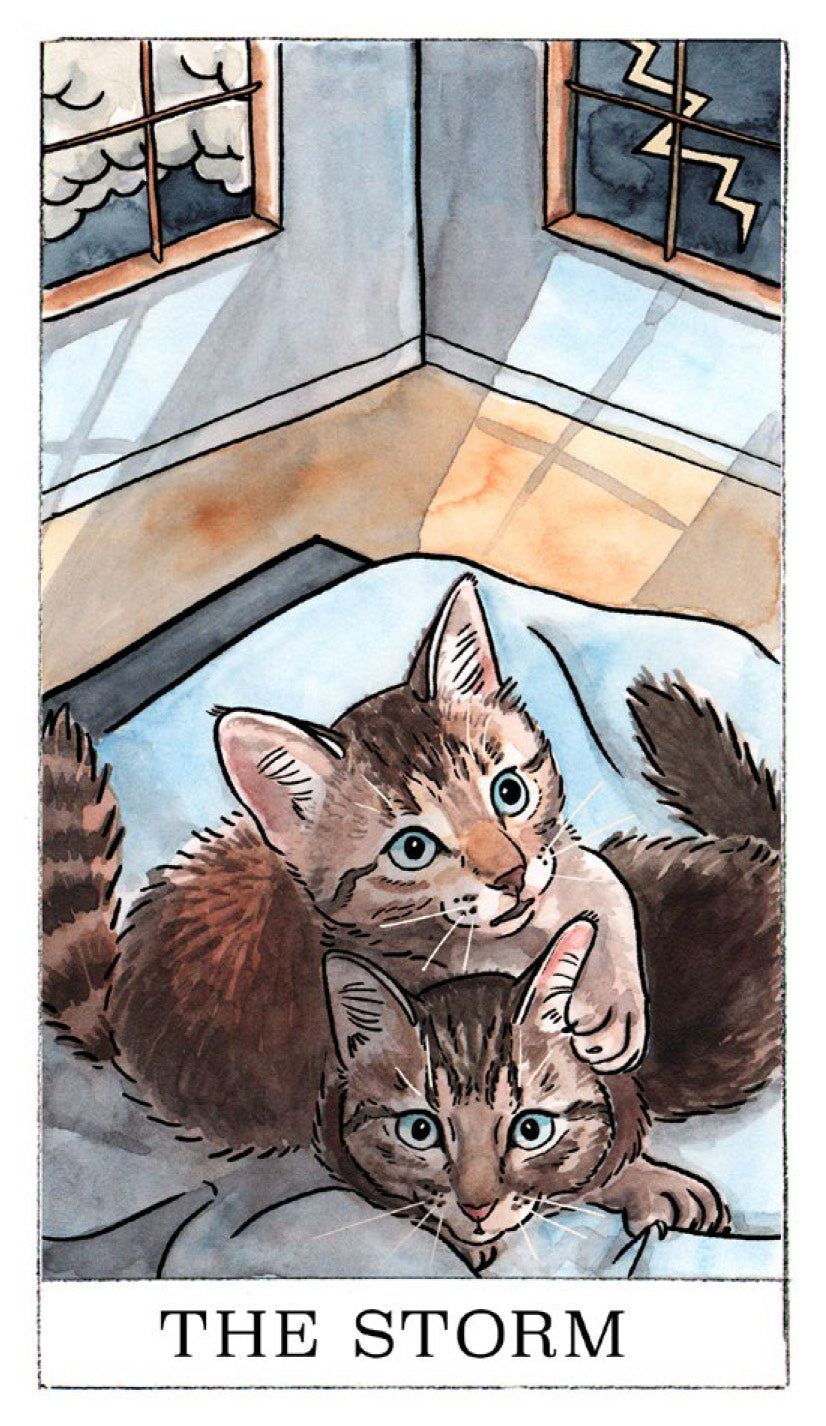 Kitten Oracle Kitten Oracle – Chronicle Books