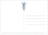 Studio Ghibli Princess Mononoke: 30 Postcards