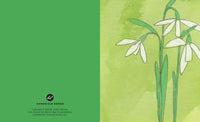 Flowers for Almost Any Occasion Notes
