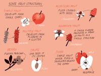 Pocket Nature: Fruit Harvesting