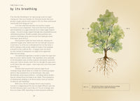 Forty Ways to Know a Tree