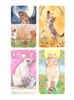 Cat's Meow Sticker Book