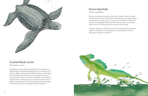 The Colorful World of Reptiles – Chronicle Books