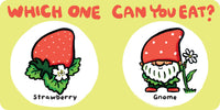 Which One Can You Eat?