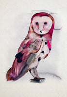 Bird Box: 100 Postcards by 10 Artists