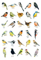 Bird Box: 100 Postcards by 10 Artists
