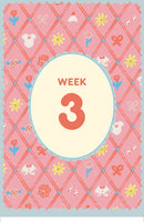 Expecting 411's Pregnancy Deck