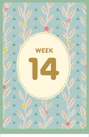 Expecting 411's Pregnancy Deck