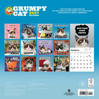Grumpy Cat 2027 Wall Calendar