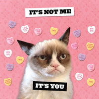 Grumpy Cat 2027 Wall Calendar