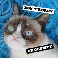 Grumpy Cat 2027 Wall Calendar