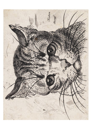 キャットバスターズ オフィシャルビジュアルブック Cats of the V&A: 50 Postcards – Chronicle Books