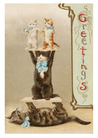 Cats of the V&A: 50 Postcards