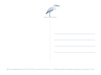 Studio Ghibli The Boy and the Heron: 30 Postcards
