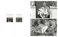 Endurance Photographs