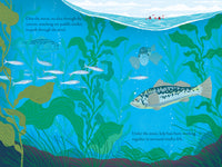 Over and Under the Waves