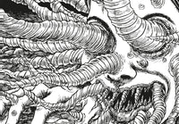 Junji Ito Uzumaki: 100 Collectible Postcards