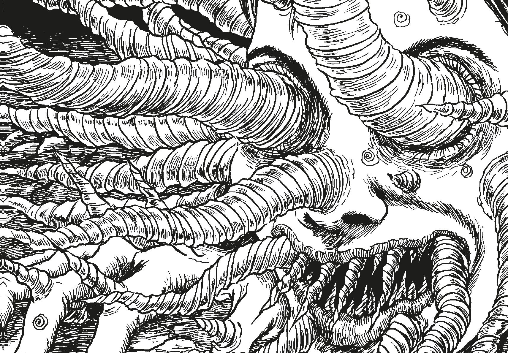 junji ito monsters Junji Ito Uzumaki: 100 Collectible Postcards – Chronicle Books